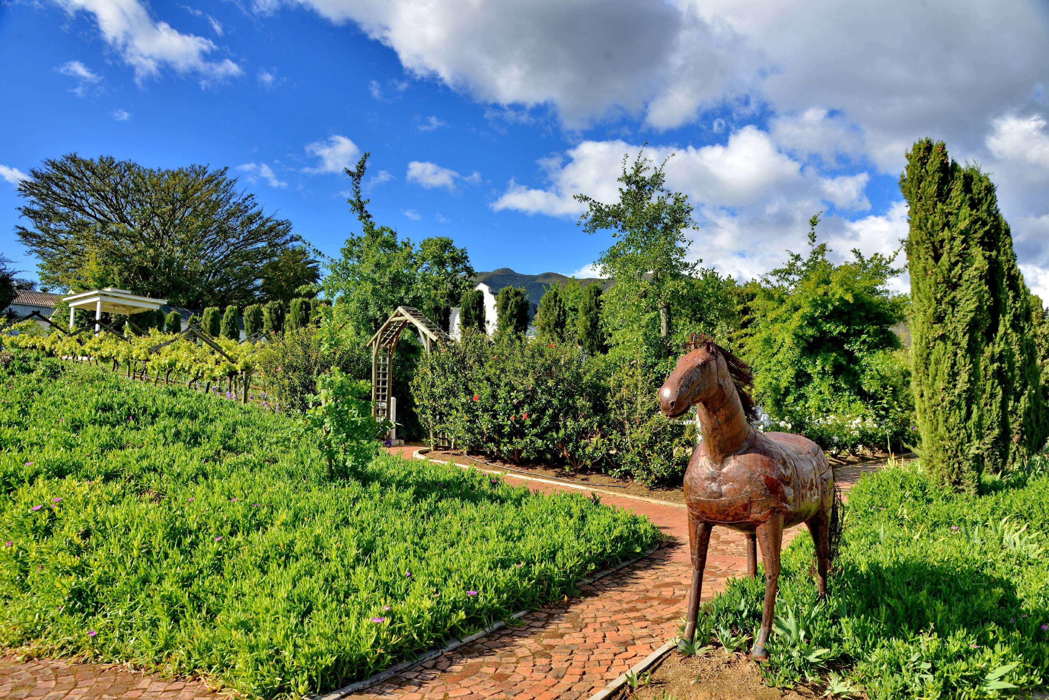 Val Du Charron Wine & Leisure Estate Hotel Уелингтън Екстериор снимка