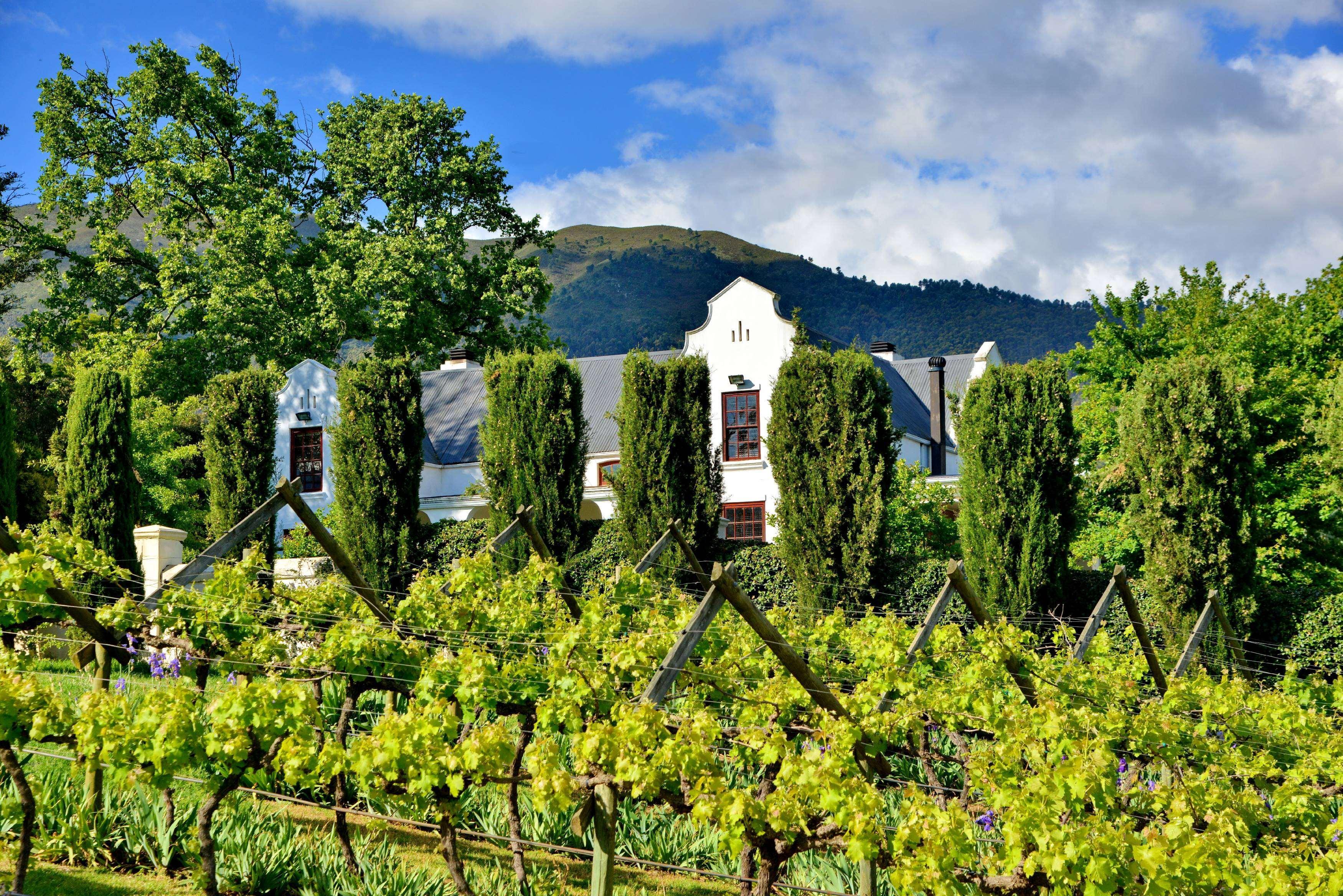 Val Du Charron Wine & Leisure Estate Hotel Уелингтън Екстериор снимка